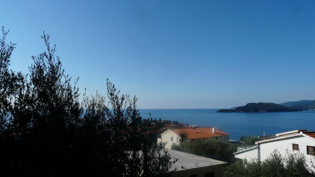 Guest House Zivkovic Sveti Stefan Bagian luar foto