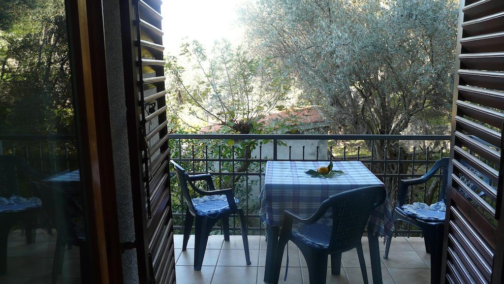 Guest House Zivkovic Sveti Stefan Ruang foto